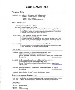 Example of a Resume CV