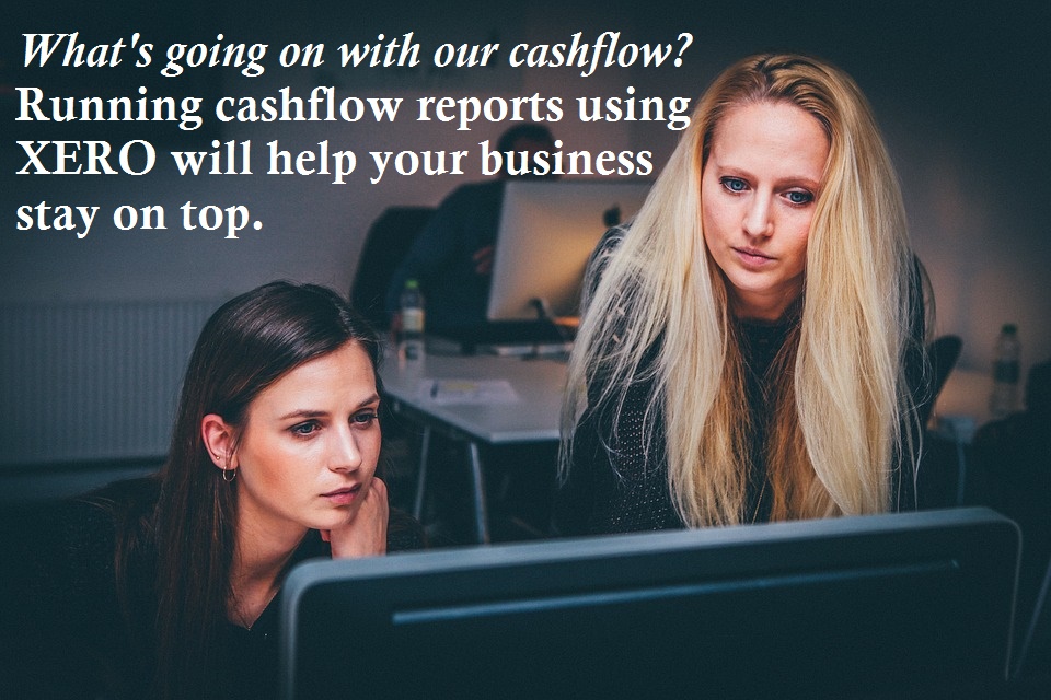 cashflow reports in xero and excel