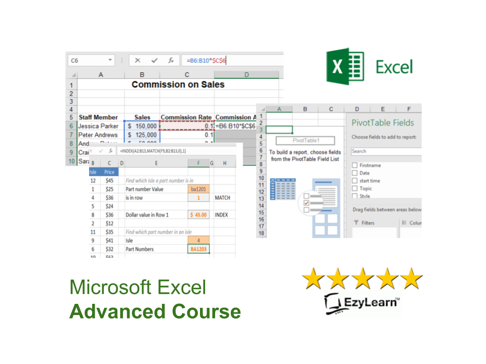 Microsoft Office Excel Online Advanced Training Course - pivotTables, vlookup, MAtch, nested functions
